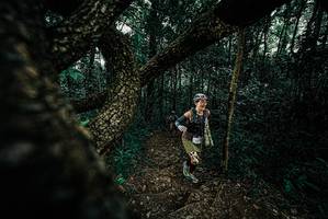 BIB: 
                            <button type="button" onclick="openModal(25684308)" class="btn btn-primary btn-sm float-right btn-popup" data-toggle="modal" data-target=".modal-high-quality">
                        <i class="fas fa-shopping-cart"></i> Add to Cart
                    </button>
                                            <button type="button" onclick="isThisMe(25684308, true)" class="btn btn-success btn-sm float-right btn-popup btn-isme hidden" data-toggle="tooltip" data-placement="bottom" title="นี่คือรูปของคุณใช่ไหม คลิกที่นี่เพื่อเอาเข้าอัลบั้ม">
                        <i class="fas fa-plus"></i> Add to album
                    </button>
                    <button type="button" onclick="isThisMe(25684308, false)" class="btn btn-warning btn-sm float-right btn-popup btn-isnotme hidden">
                        <i class="fas fa-ban"></i> Remove from album
                    </button>